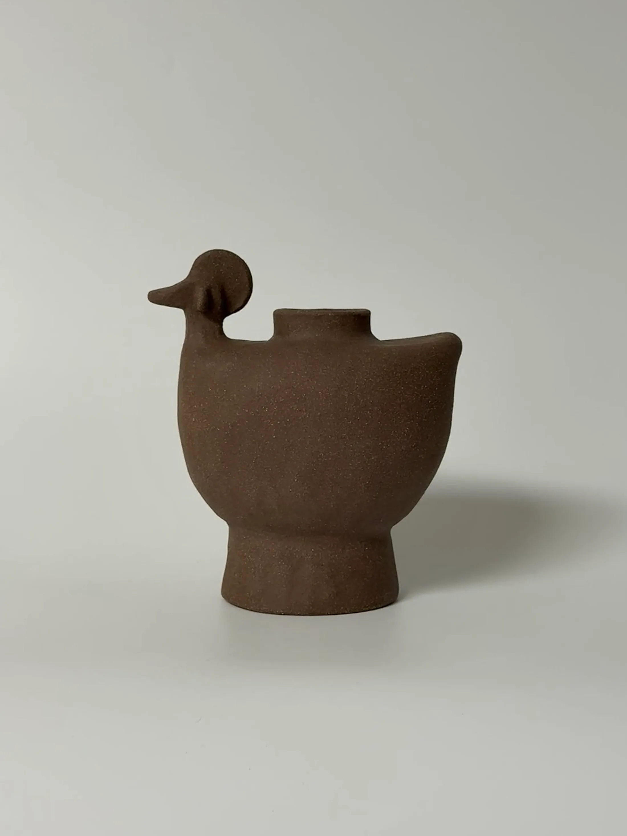 Round Duck main view